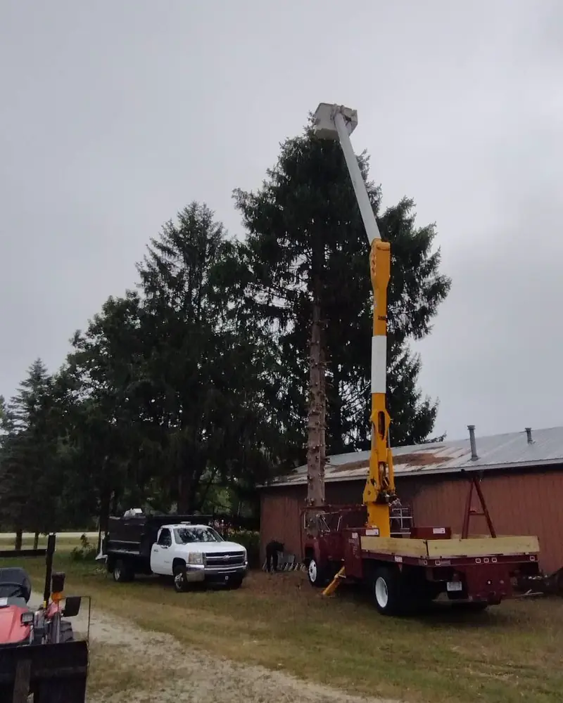 Bucket truck positioned for tree work