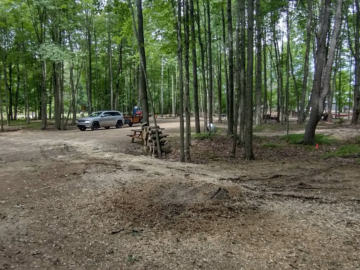 Forestry clearing project