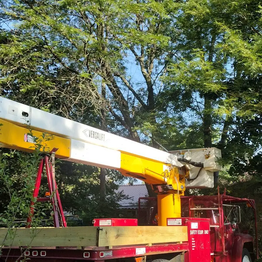 Bucket truck working among mature trees